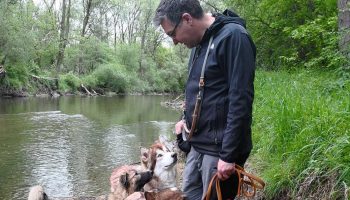 Jeroen Hundeschule 3